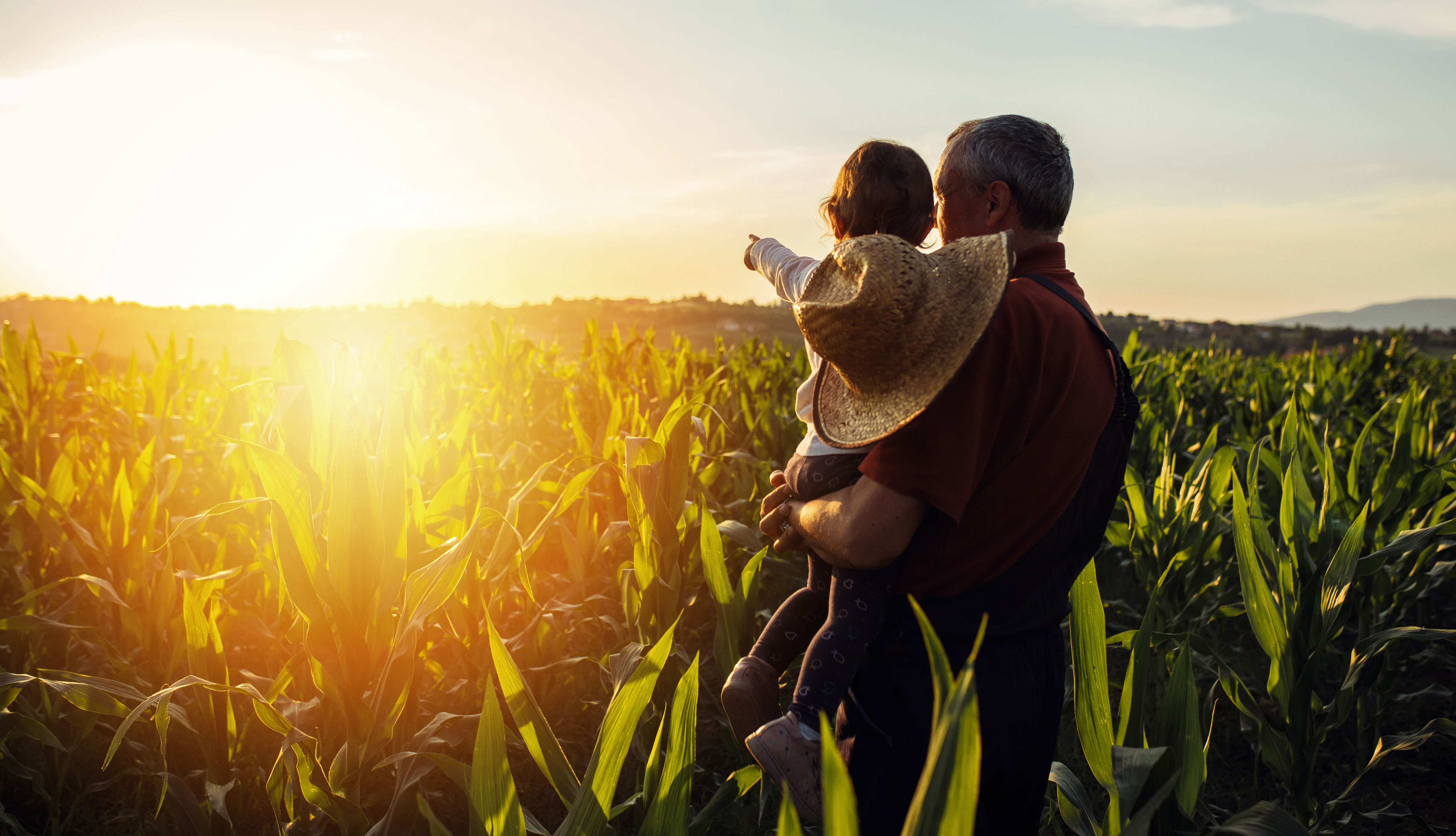 Créer une société agricole